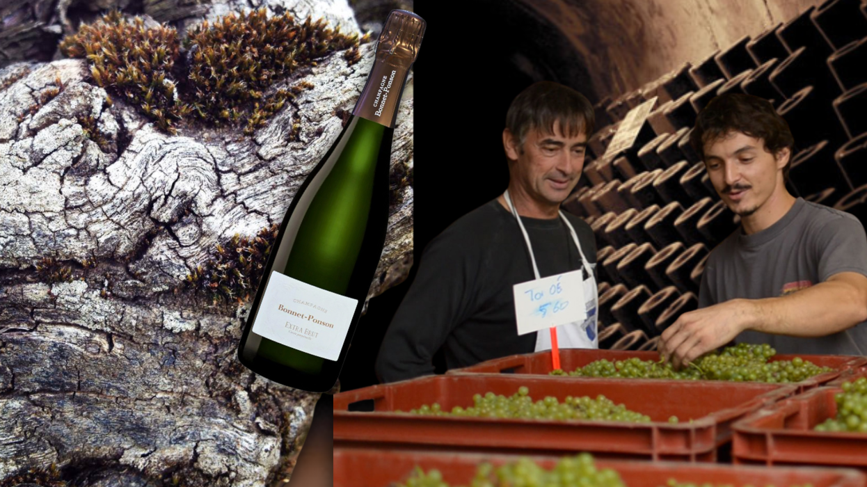香檳新星 Bonnet-Ponson:六代傳承的風土