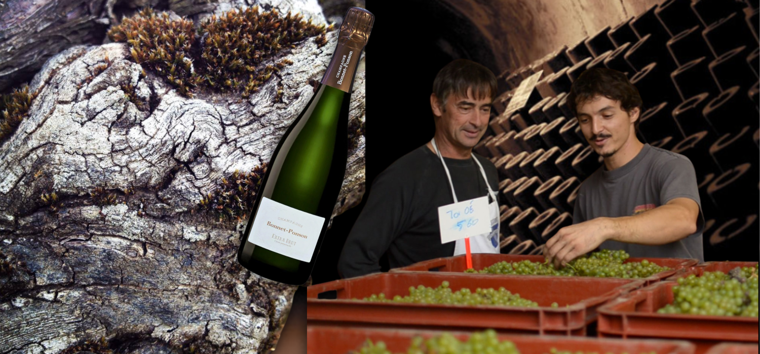 香檳新星 Bonnet-Ponson:六代傳承的風土