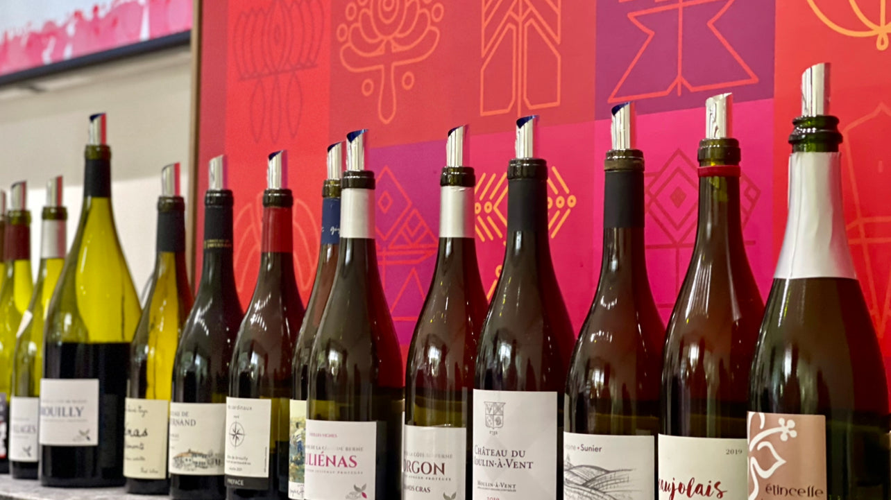 November 16, 2023 - More than Beaujolais Nouveau Tasting