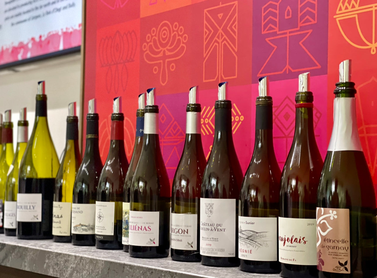 November 16, 2023 - More than Beaujolais Nouveau Tasting