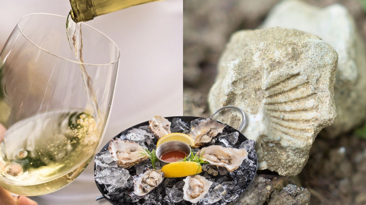 深入Chablis的土壤與風味:從Petit Chablis到Grand Cru Valmur