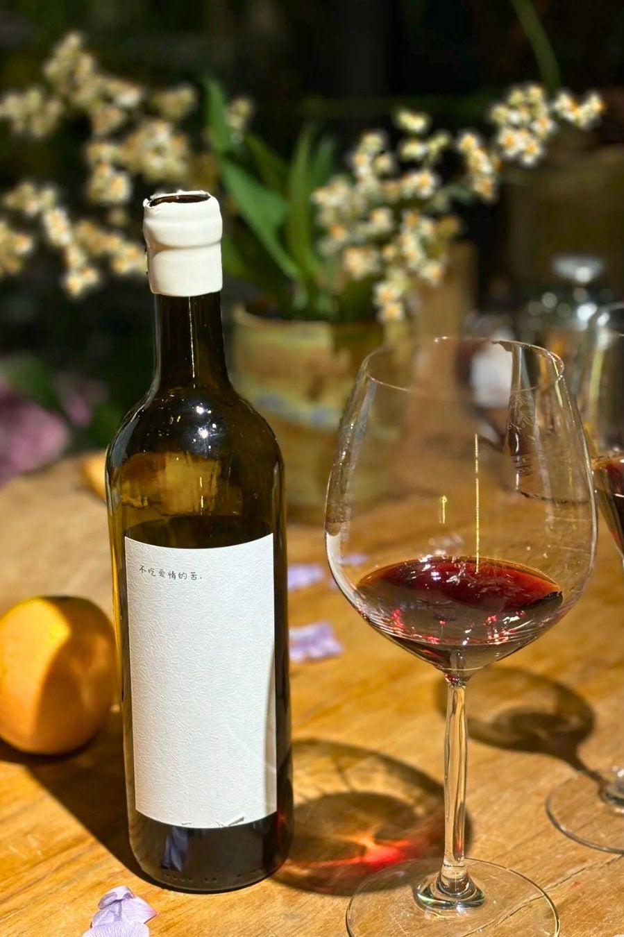 Chateau_Chanson_Syrah_Red 不吃愛情的苦
