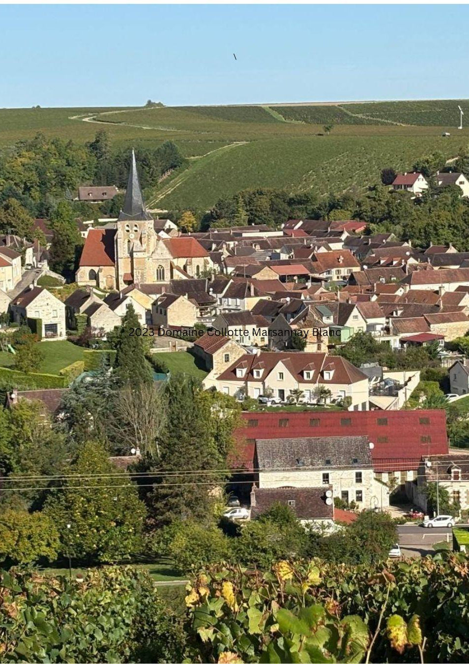 Domaine Naulin Chablis 1er Cru Beauroy
