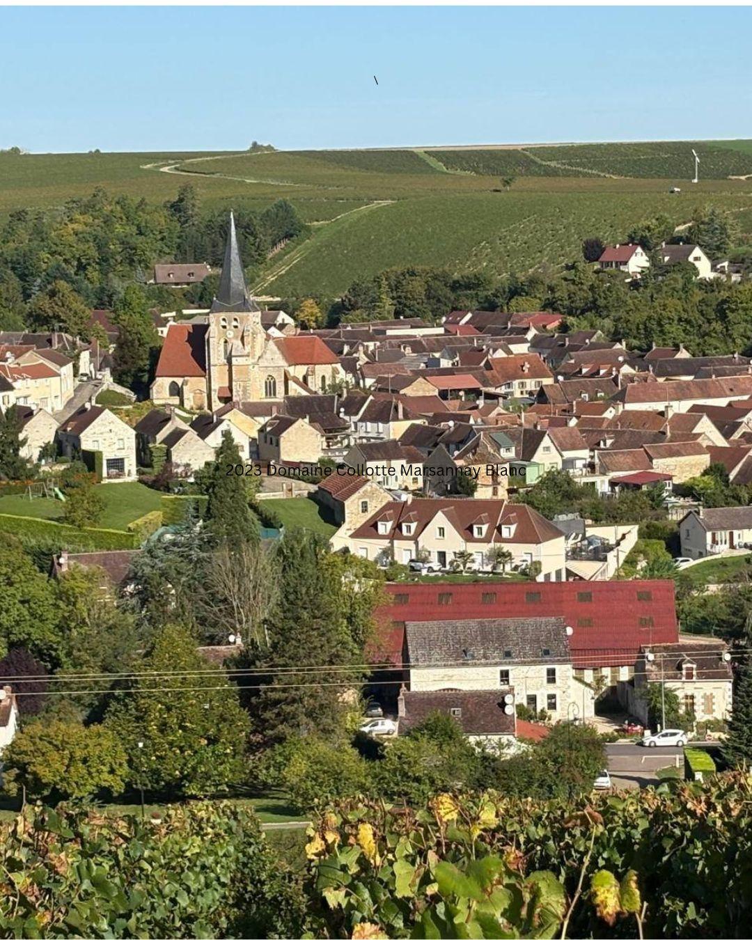 Domaine Naulin Chablis 1er Cru Beauroy