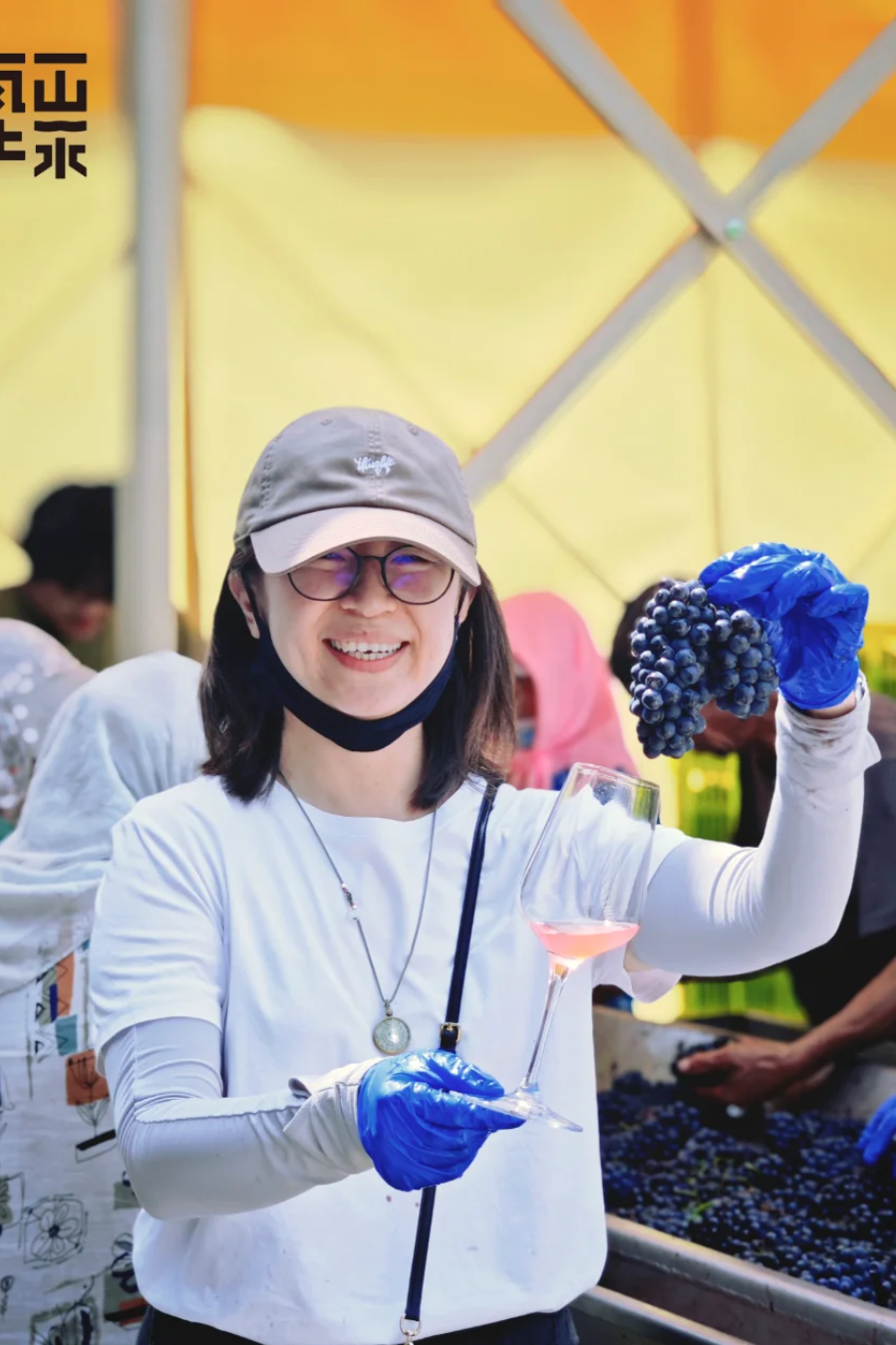 MountainWave_Malbec_Pet-Nat 追風自然氣泡酒