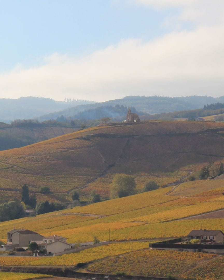 Shop Bruno Clair Domaine Gregoire Hoppenot Fleurie Origines 2021 online at PENTICTON artisanal French wine store in Hong Kong. Discover other French wines, promotions, workshops and featured offers at pentictonpacific.com