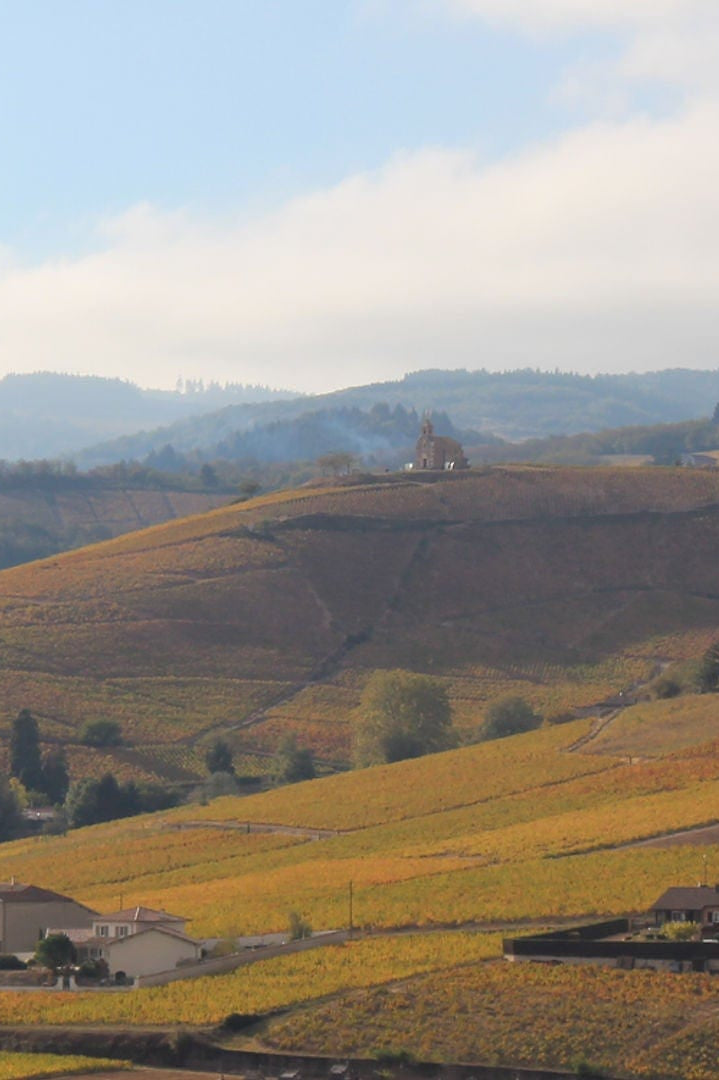 Shop Bruno Clair Domaine Gregoire Hoppenot Fleurie Origines 2021 online at PENTICTON artisanal French wine store in Hong Kong. Discover other French wines, promotions, workshops and featured offers at pentictonpacific.com