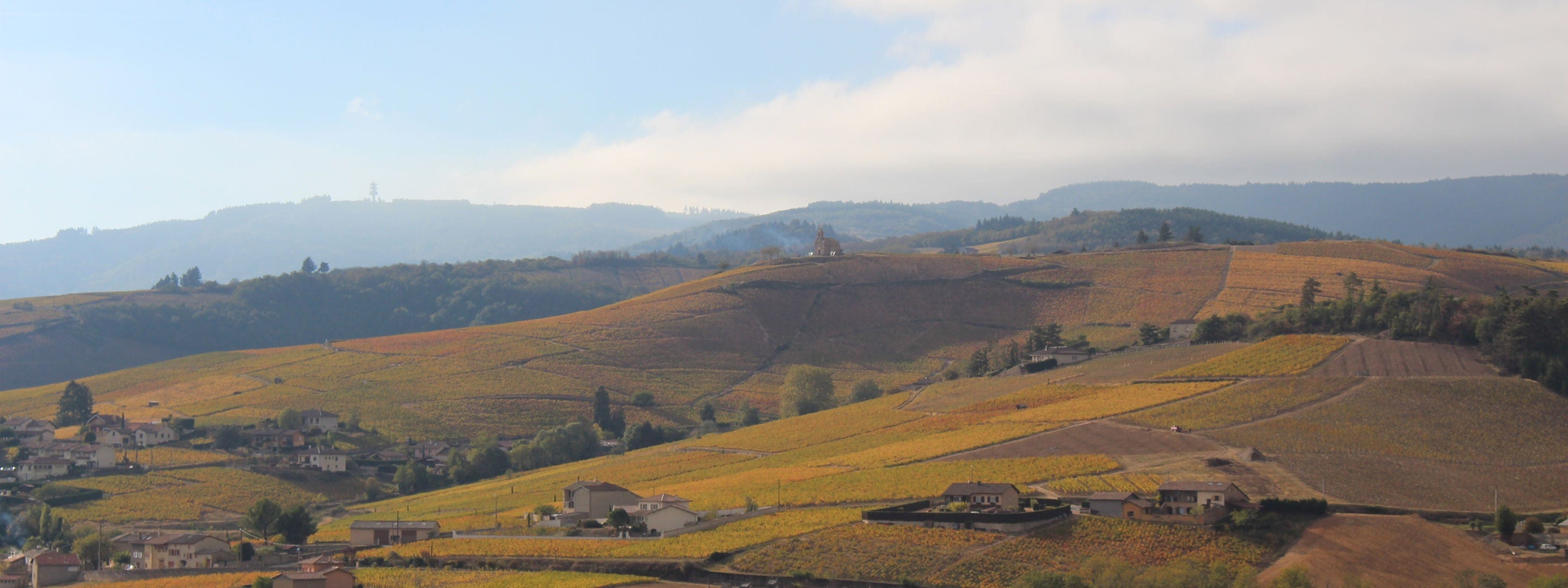 Shop Bruno Clair Domaine Gregoire Hoppenot Fleurie Origines 2021 online at PENTICTON artisanal French wine store in Hong Kong. Discover other French wines, promotions, workshops and featured offers at pentictonpacific.com