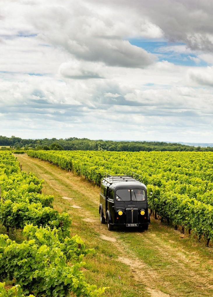 Shop Cognac Bourgoin Cognac Bourgoin Double-Lie 2010 online at PENTICTON artisanal French wine store in Hong Kong. Discover other French wines, promotions, workshops and featured offers at pentictonpacific.com