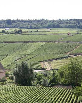 Shop Domaine Vincent Latour Domaine Vincent Latour Meursault Les Grands Charrons 2018 online at PENTICTON artisanal French wine store in Hong Kong. Discover other French wines, promotions, workshops and featured offers at pentictonpacific.com