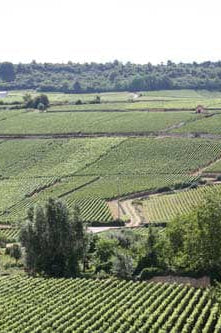 Shop Domaine Vincent Latour Domaine Vincent Latour Meursault Les Grands Charrons 2018 online at PENTICTON artisanal French wine store in Hong Kong. Discover other French wines, promotions, workshops and featured offers at pentictonpacific.com