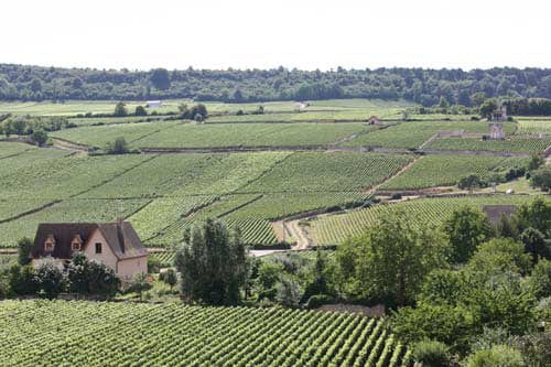 Shop Domaine Vincent Latour Domaine Vincent Latour Meursault Les Grands Charrons 2018 online at PENTICTON artisanal French wine store in Hong Kong. Discover other French wines, promotions, workshops and featured offers at pentictonpacific.com