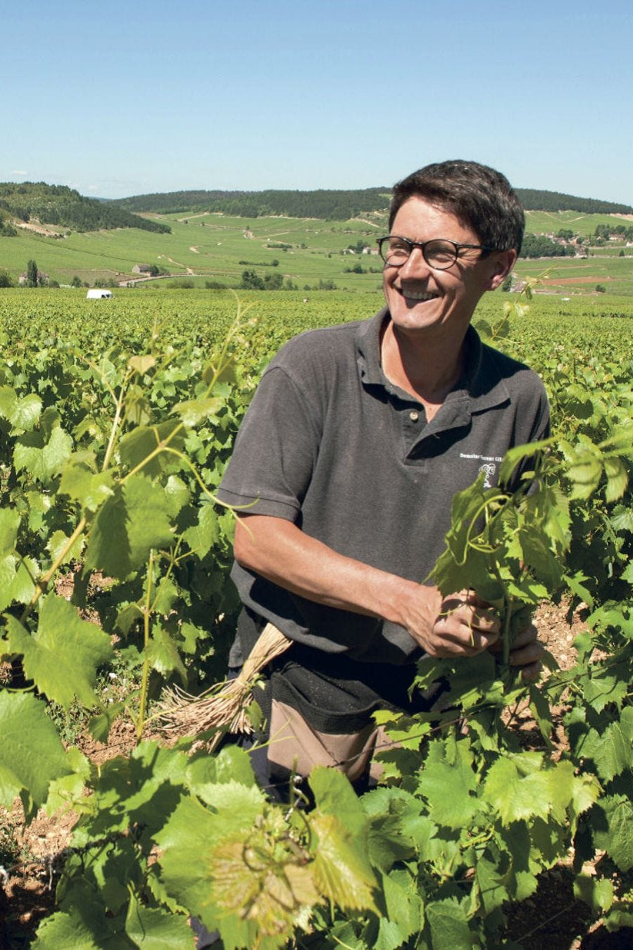 Shop Vincent Girardin Vincent Girardin Meursault Les Charrons 2017 online at PENTICTON artisanal French wine store in Hong Kong. Discover other French wines, promotions, workshops and featured offers at pentictonpacific.com