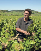 Shop Vincent Girardin Vincent Girardin Meursault Les Charrons 2017 online at PENTICTON artisanal French wine store in Hong Kong. Discover other French wines, promotions, workshops and featured offers at pentictonpacific.com