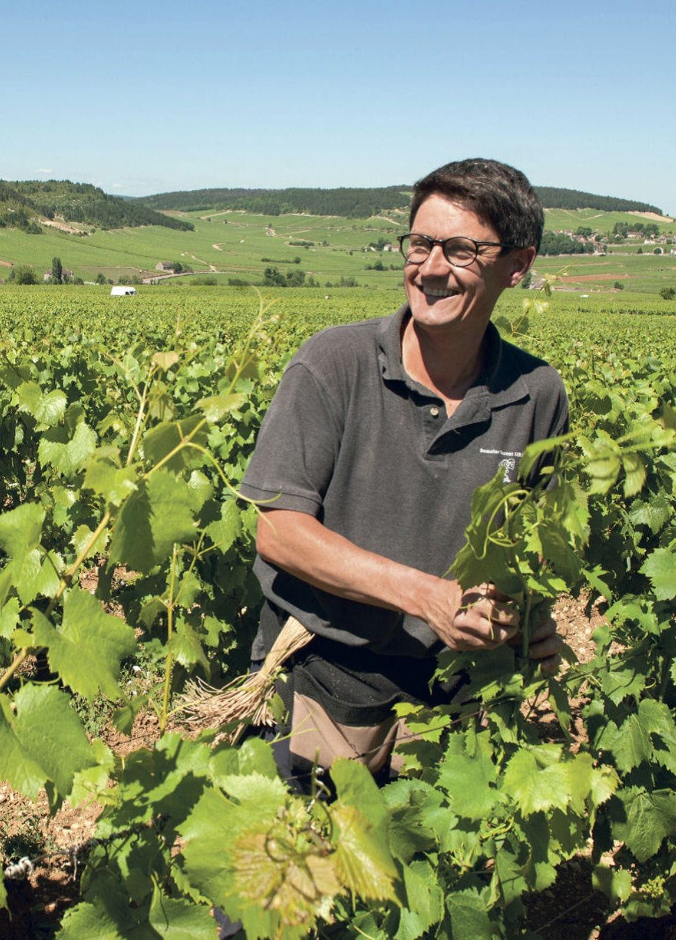 Shop Vincent Girardin Vincent Girardin Meursault Les Charrons 2017 online at PENTICTON artisanal French wine store in Hong Kong. Discover other French wines, promotions, workshops and featured offers at pentictonpacific.com