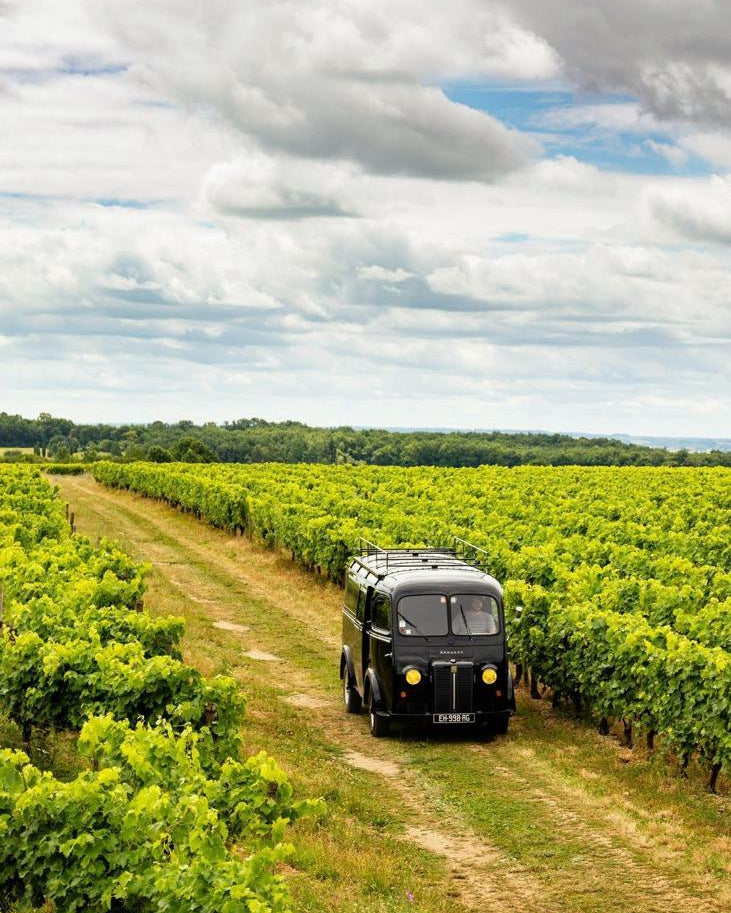 Shop Cognac Bourgoin Cognac Bourgoin | Pineau Bourgoin online at PENTICTON artisanal French wine store in Hong Kong. Discover other French wines, promotions, workshops and featured offers at pentictonpacific.com