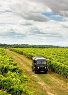 Shop Cognac Bourgoin Cognac Bourgoin | Pineau Bourgoin online at PENTICTON artisanal French wine store in Hong Kong. Discover other French wines, promotions, workshops and featured offers at pentictonpacific.com