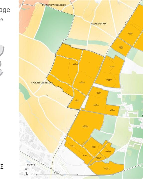 Shop Domaine Armoux Domaine Arnoux Chorey-les-beaune Blanc 2020 online at PENTICTON artisanal French wine store in Hong Kong. Discover other French wines, promotions, workshops and featured offers at pentictonpacific.com