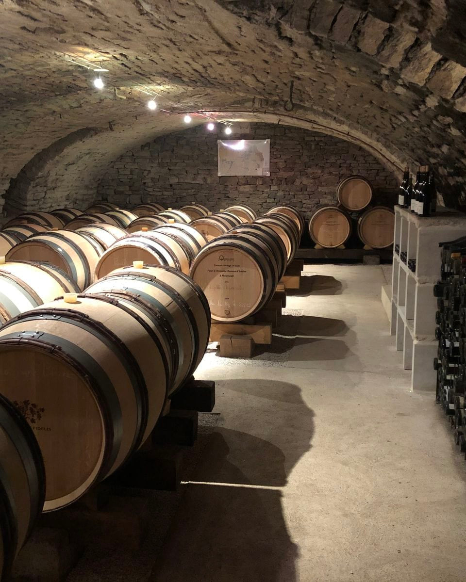 Shop Domaine Buisson-Charles Domaine Buisson-Charles Bourgogne Aligote Hors Classe 2019 online at PENTICTON artisanal French wine store in Hong Kong. Discover other French wines, promotions, workshops and featured offers at pentictonpacific.com