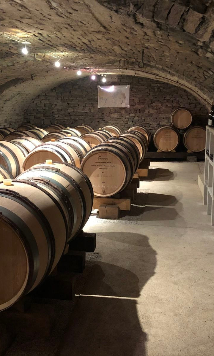Shop Domaine Buisson-Charles Domaine Buisson-Charles Bourgogne Aligote Hors Classe 2019 online at PENTICTON artisanal French wine store in Hong Kong. Discover other French wines, promotions, workshops and featured offers at pentictonpacific.com