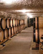 Shop Domaine Maratray Dubreuil Domaine Maratray Dubreuil Ladoix 1er Cru "En Naget" Monopole Blanc 2020 online at PENTICTON artisanal French wine store in Hong Kong. Discover other French wines, promotions, workshops and featured offers at pentictonpacific.com