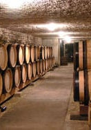 Shop Domaine Maratray Dubreuil Domaine Maratray Dubreuil Ladoix 1er Cru "En Naget" Monopole Blanc 2020 online at PENTICTON artisanal French wine store in Hong Kong. Discover other French wines, promotions, workshops and featured offers at pentictonpacific.com