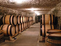 Shop Domaine Maratray Dubreuil Domaine Maratray Dubreuil Ladoix 1er Cru "En Naget" Monopole Blanc 2020 online at PENTICTON artisanal French wine store in Hong Kong. Discover other French wines, promotions, workshops and featured offers at pentictonpacific.com