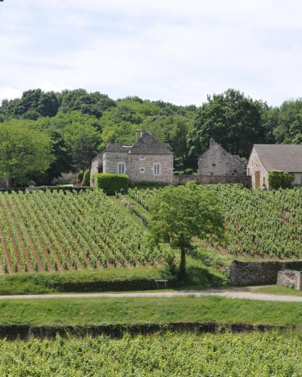 Shop Domaine Meix Foulot Domaine Meix Foulot Mercurey Rouge 2019 online at PENTICTON artisanal French wine store in Hong Kong. Discover other French wines, promotions, workshops and featured offers at pentictonpacific.com