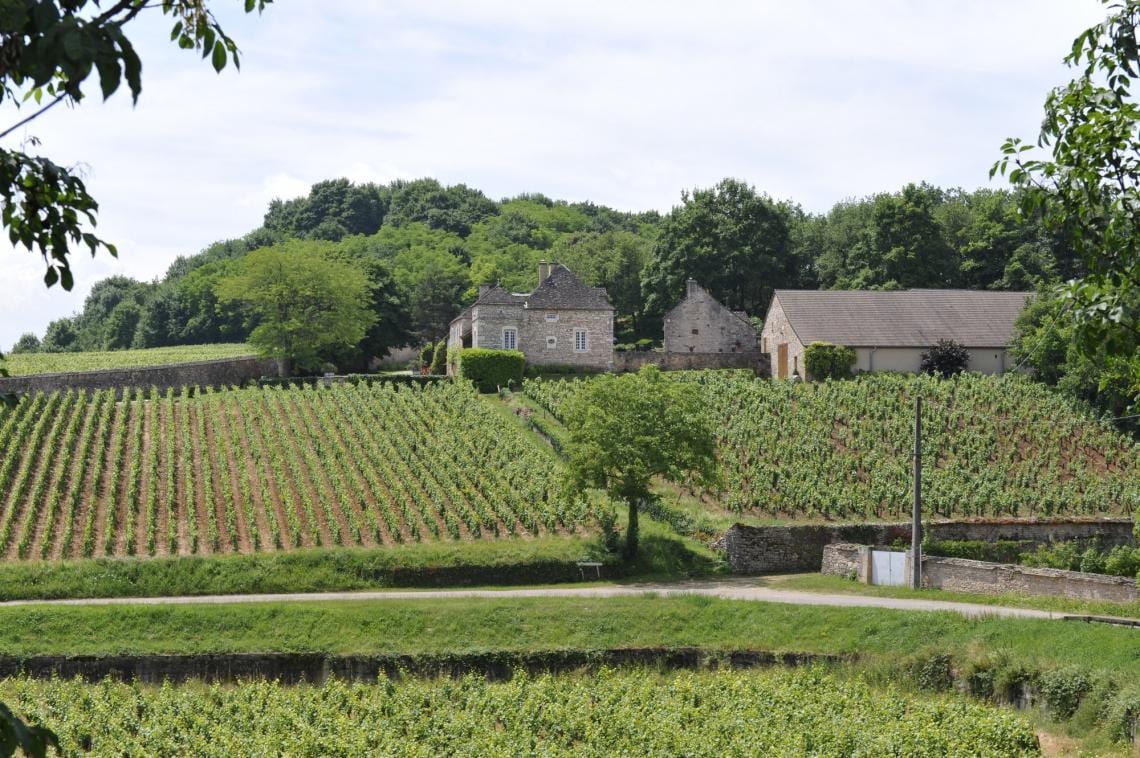 Shop Domaine Meix Foulot Domaine Meix Foulot Mercurey Rouge 2019 online at PENTICTON artisanal French wine store in Hong Kong. Discover other French wines, promotions, workshops and featured offers at pentictonpacific.com