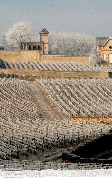 Shop Domaine Pierre Morey Domaine Pierre Morey Meursault Les Tessons 2015 online at PENTICTON artisanal French wine store in Hong Kong. Discover other French wines, promotions, workshops and featured offers at pentictonpacific.com