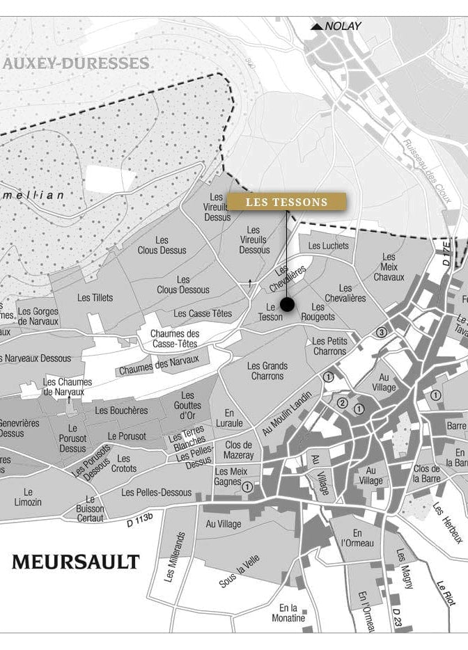 Shop Domaine Pierre Morey Domaine Pierre Morey Meursault Les Tessons 2015 online at PENTICTON artisanal French wine store in Hong Kong. Discover other French wines, promotions, workshops and featured offers at pentictonpacific.com