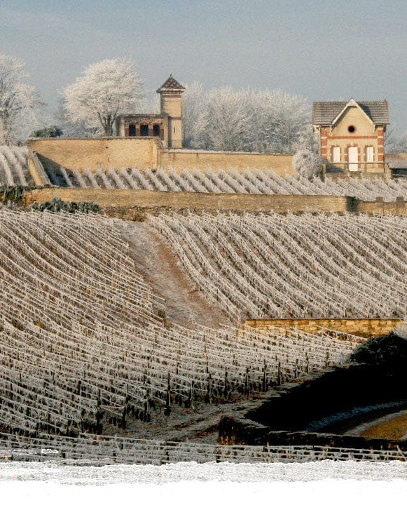 Shop Domaine Pierre Morey Domaine Pierre Morey Meursault Les Tessons 2015 online at PENTICTON artisanal French wine store in Hong Kong. Discover other French wines, promotions, workshops and featured offers at pentictonpacific.com