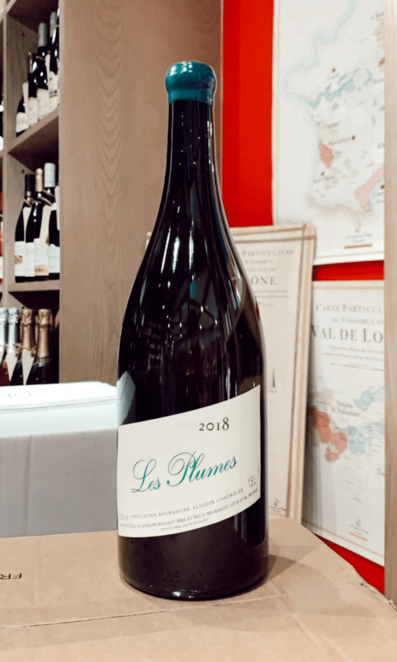 Discover Domaine Rougeot Père & Fils Domaine Rougeot Bourgogne Aligote Les Plumes Sans Sulfite Ajouté 2018 online at PENTICTON