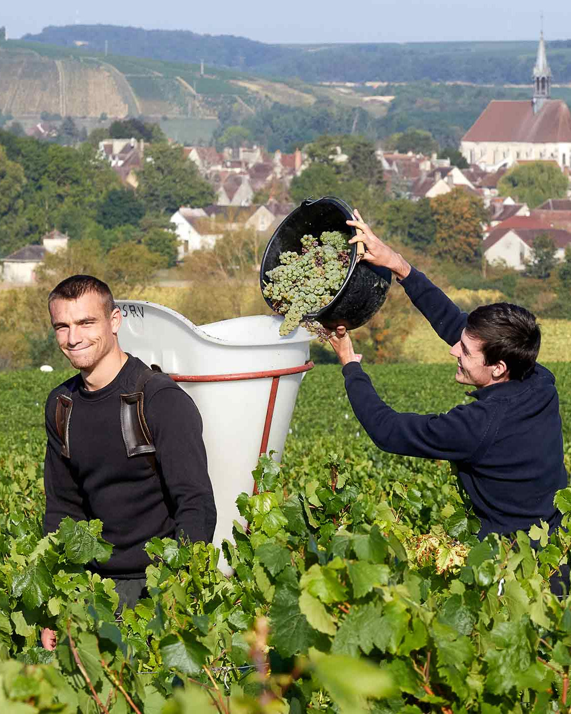 Shop Samuel Billaud Samuel Billaud Petit Chablis "Sur les Clos" 2020 online at PENTICTON artisanal French wine store in Hong Kong. Discover other French wines, promotions, workshops and featured offers at pentictonpacific.com