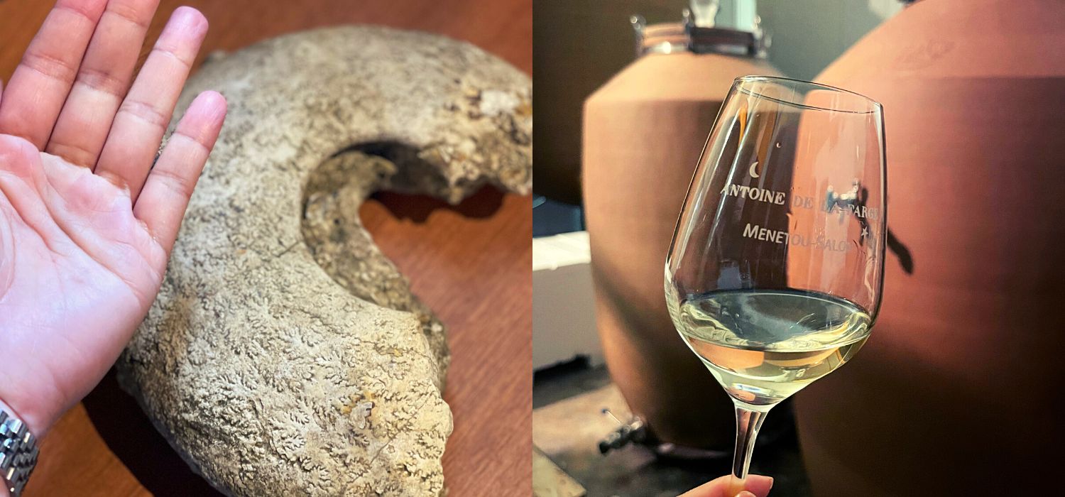 名莊故事(4)：尋獲億年巨蠔化石！  Menetou-Salon 300年傳奇酒莊