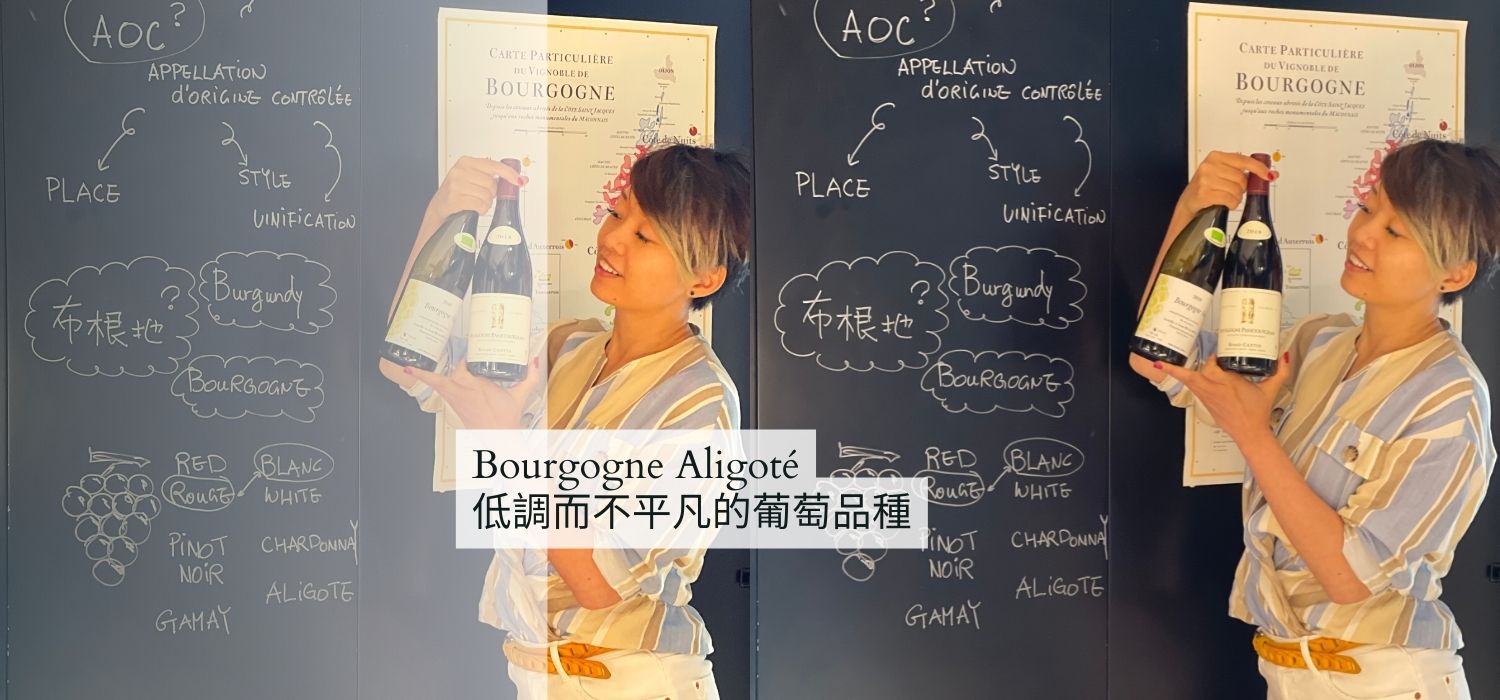 低調而不平凡的葡萄品種 Bourgogne Aligoté