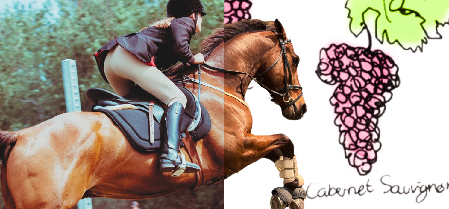 CABERNET SAUVIGNON迷必試! LOIRE VALLEY ANJOU 90分好評微醺推薦...DOMAINE DU PETIT CLOCHER