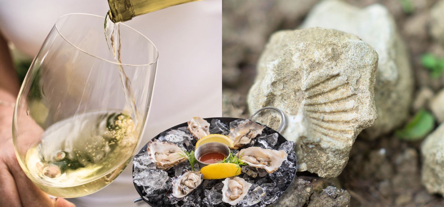 深入Chablis的土壤與風味：從Petit Chablis到Grand Cru Valmur