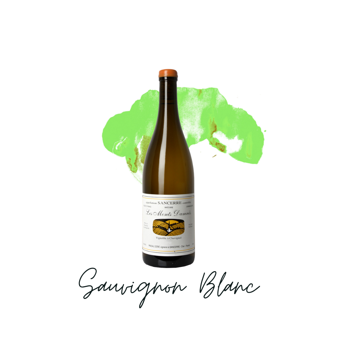 Sauvignon Blanc