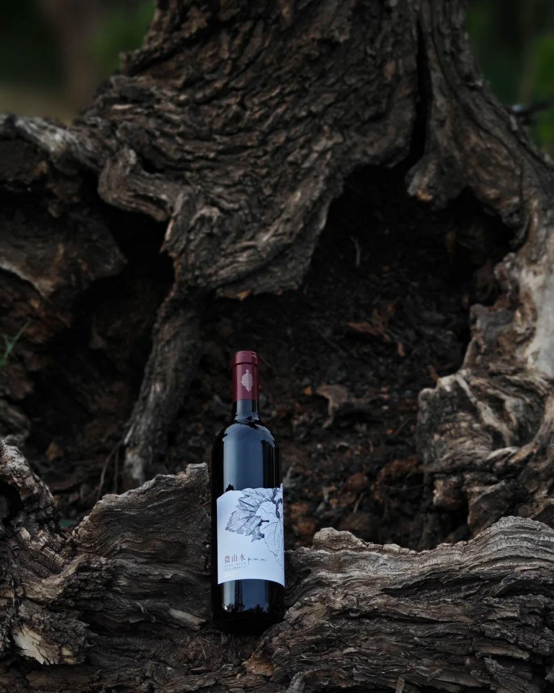 海悦仁和酒庄，位于宁夏贺兰山东麓金山产区。亿万年前🕰，这里曾是一片未经开垦之地，属于贺兰山洪积扇平原，酿酒葡萄的种植🌱，算是栽种在这里的第一批农作物。 	 🎉酒庄建庄已经第9年了，我们种植了三个小众的酿酒葡萄：黑比诺、马瑟兰和马尔贝克。了解葡萄酒的朋友都知道这三个品种的稀缺性，尤其是在广泛种植赤霞珠的宁夏🌍🍇