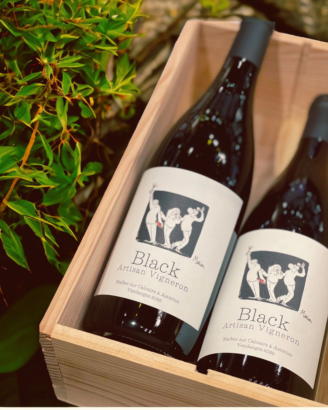 French Wine Store Hong Kong Online Shop, Free delivery & Wine Tasting PENTICTON