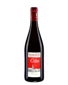 Shop Patrice Colin Patrice Colin Coteaux du Vendomois Rouge Vieilles Vignes Reserve 2020 online at PENTICTON artisanal French wine store in Hong Kong. Discover other French wines, promotions, workshops and featured offers at pentictonpacific.com 