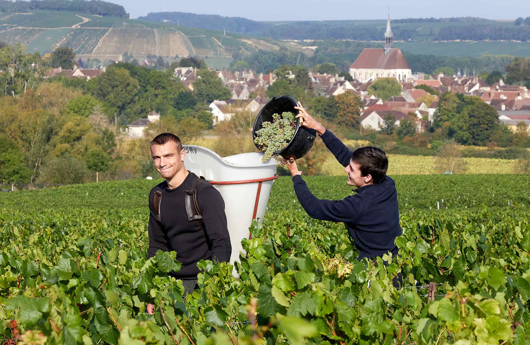 Shop Samuel Billaud Samuel Billaud Petit Chablis "Sur les Clos" 2020 online at PENTICTON artisanal French wine store in Hong Kong. Discover other French wines, promotions, workshops and featured offers at pentictonpacific.com 